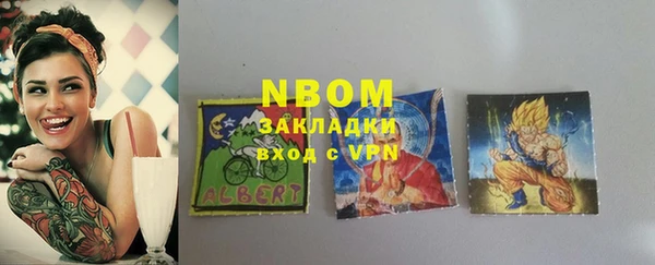 ПСИЛОЦИБИНОВЫЕ ГРИБЫ Ельня