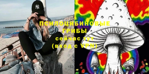 ПСИЛОЦИБИНОВЫЕ ГРИБЫ Ельня