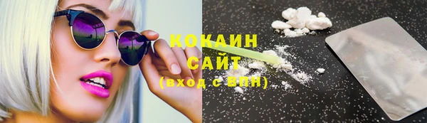 ПСИЛОЦИБИНОВЫЕ ГРИБЫ Ельня