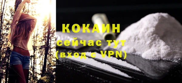 ПСИЛОЦИБИНОВЫЕ ГРИБЫ Ельня