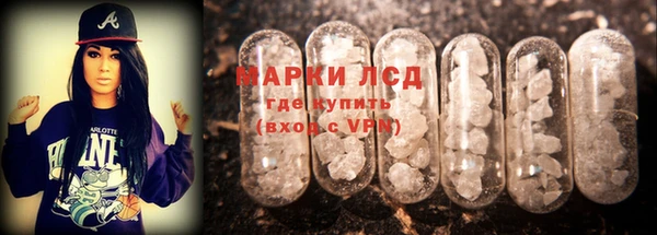 ПСИЛОЦИБИНОВЫЕ ГРИБЫ Ельня