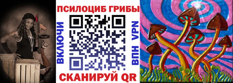 Галлюциногенные грибы Psilocybe  закладка  Кемерово 