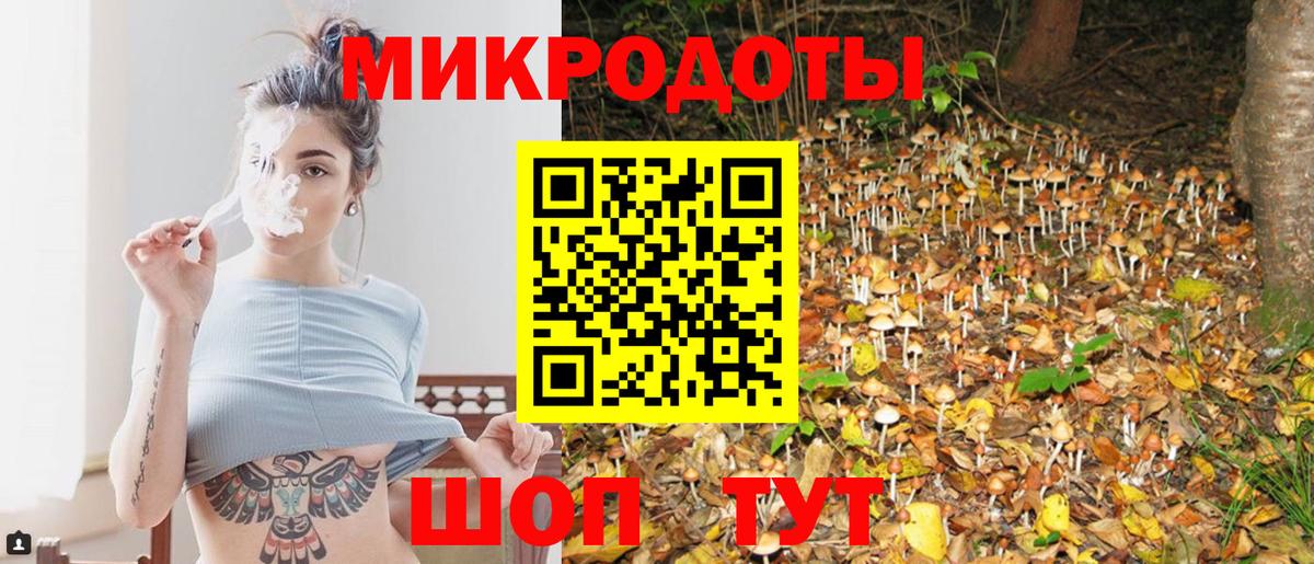 Кемерово  Псилоцибиновые грибы Psilocybe  Вход с VPN  Псилоцибиновые грибы GOLDEN TEACHER 